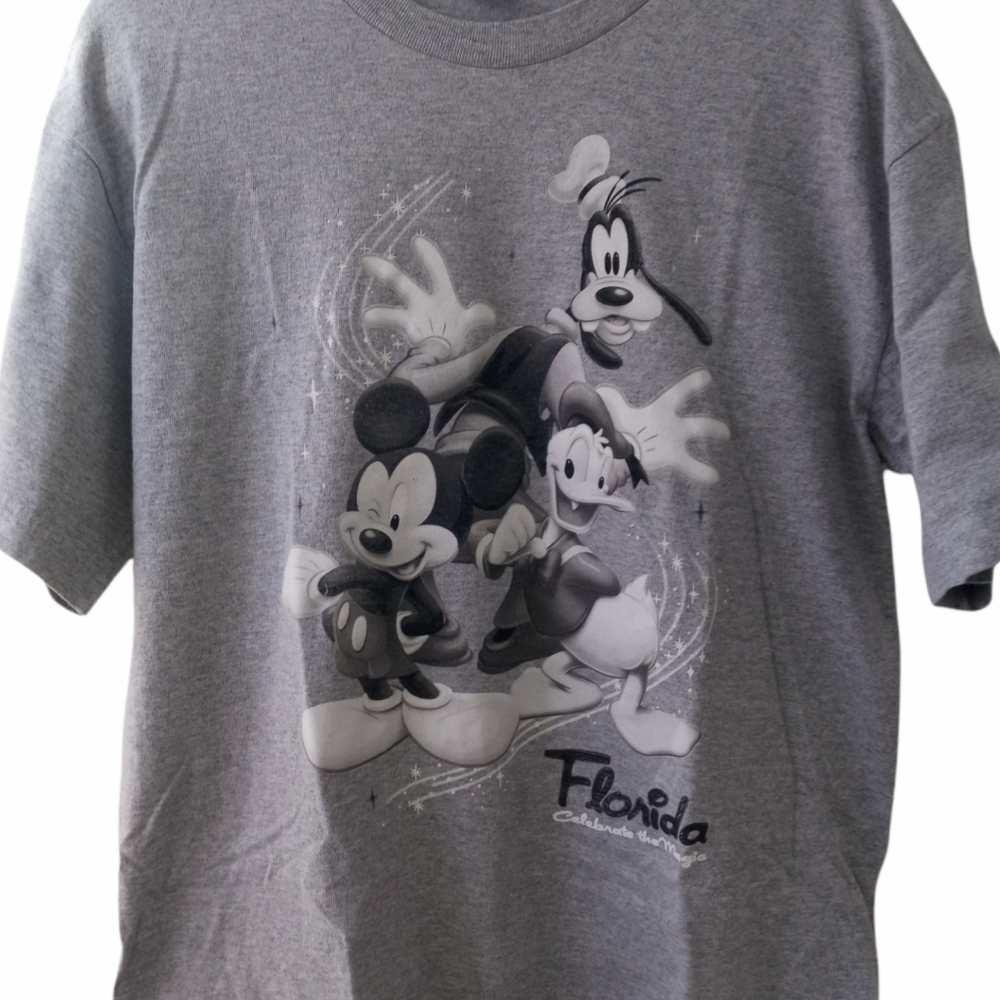 Walt Disney  T-Shirt Color Gray Size L  Walt Disney Florida  Celebrate the Magic